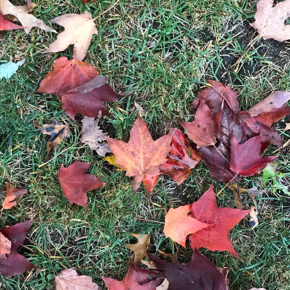 Meet your Posher, Rebecca - Picture 3 of 3